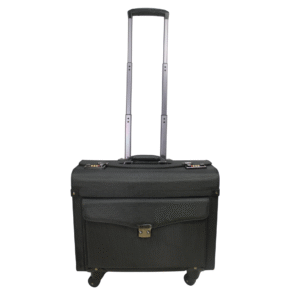 Pilot Case #1193