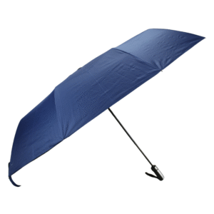 Umbrellas #304
