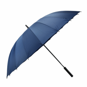 Umbrella #305